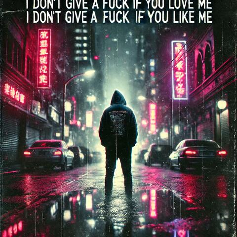 i don't give a fuck if you love me i don't give a fuck if you like me