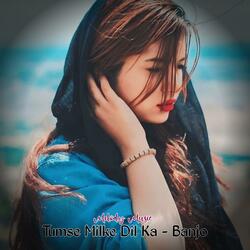Tumse Milke Dil Ka - Banjo