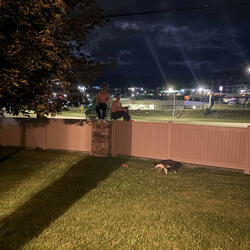 not enough (feat. Yung Taco)