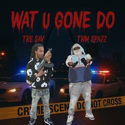 Wat U Gone Do (feat. Tre Sav)