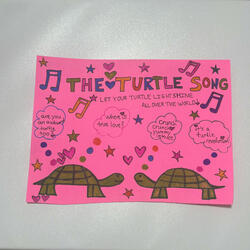 The Quirky Awkward Turtle Song