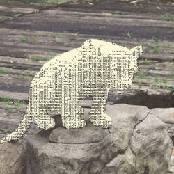 but it was your loneliness