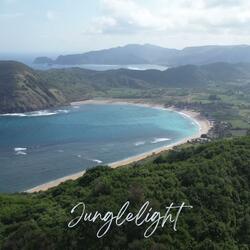 Junglelight (feat. Leni)