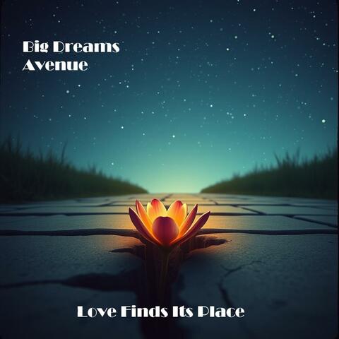 Love Finds Its Place