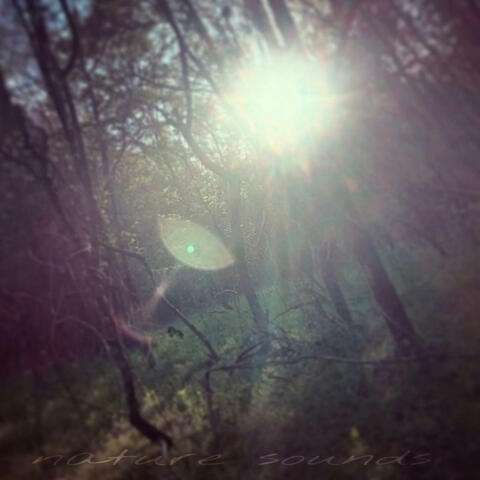 nature sounds