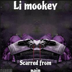 Scarred from pain (Official audio)