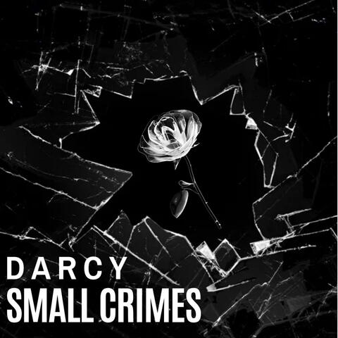 Small Crimes (Radio Edit)