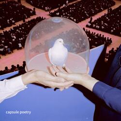海豚曾经想写一首盯鞋 Dolphins Once Longed to Shoegaze