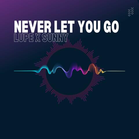 Never Let You Go (feat. Blue System)