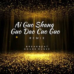 Ai Guo Shang Guo Dao Cuo Guo (Funkot Universe Remix)