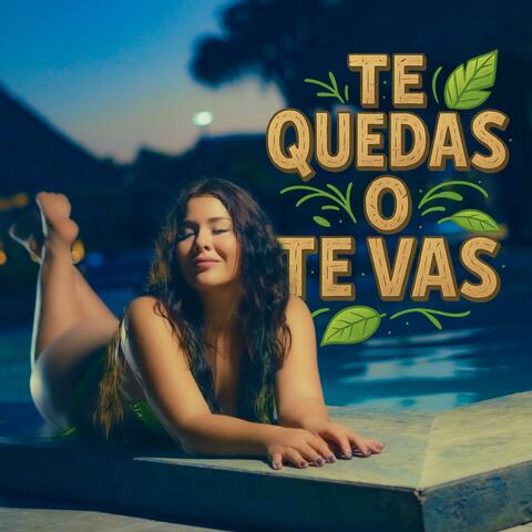 ¿Te quedas o te vas?