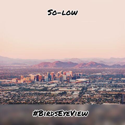 #BirdsEyeView