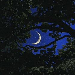 giveyoutheworld (feat. p!nkcasperr & s0ftskelet0ns)