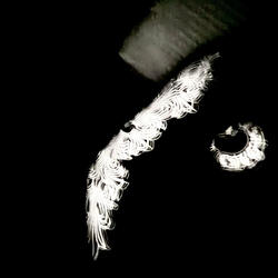 Dance In The Dark