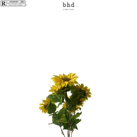 bhd