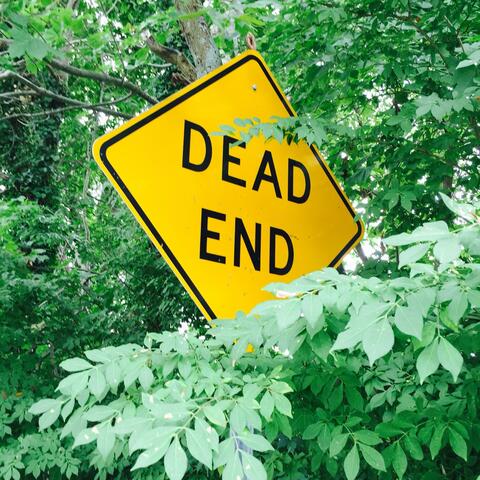 Dead End Days