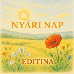 Nyári Nap