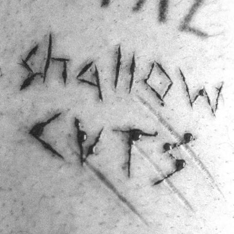 shallow cuts (feat. Alex Nardelli & vaultventurer)