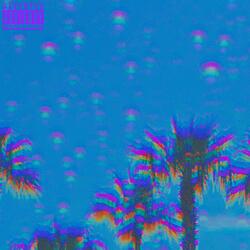 lost in miami