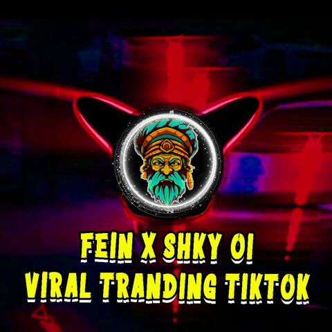 FEIN X SKY OI REMIZ DJ BOB