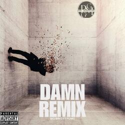 Damn Remix (feat. PGMG)