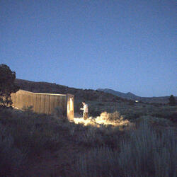 caught in the headlights