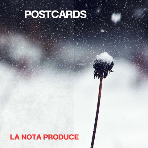 postcards