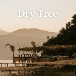 DRY TREE