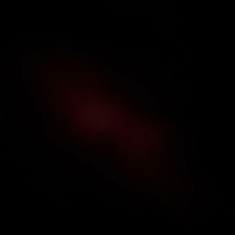 rpcK (feat. 10kzay)