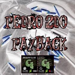 Pedro 2do Payback