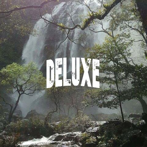 GONE 2 SOON(deluxe)