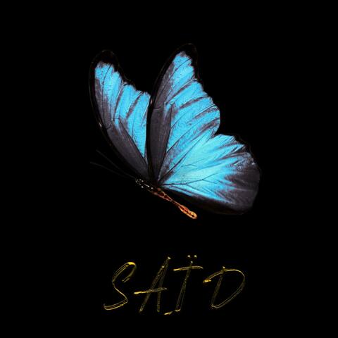 Butterflies Freestyle