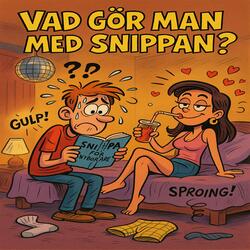 Vad gör man med snippan__ – Dansbandsversion med ös