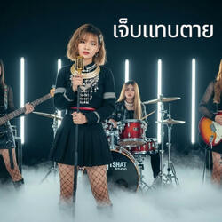 เจ็บแทบตาย