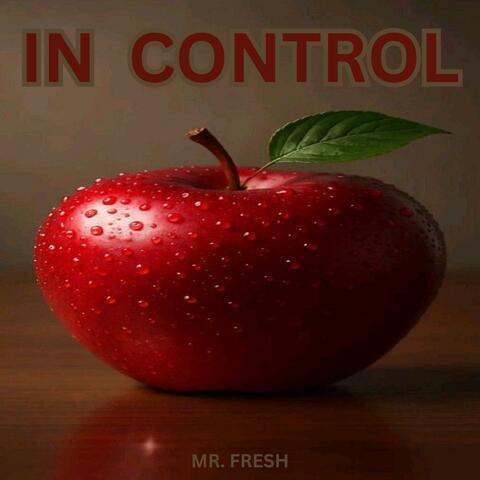 in control (new mix)