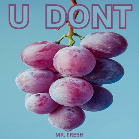 u dont (new mix)