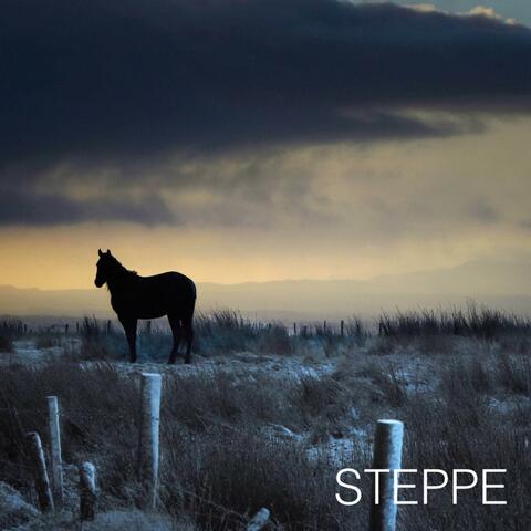 STEPPE