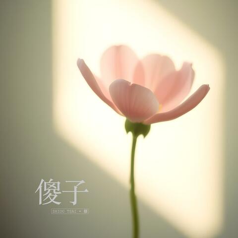 傻子
