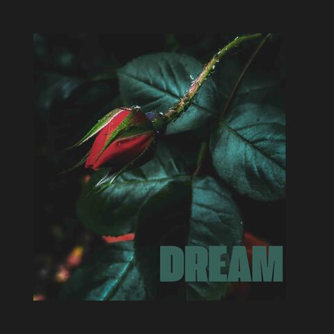 Dream
