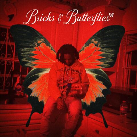Bricks & Butterflies