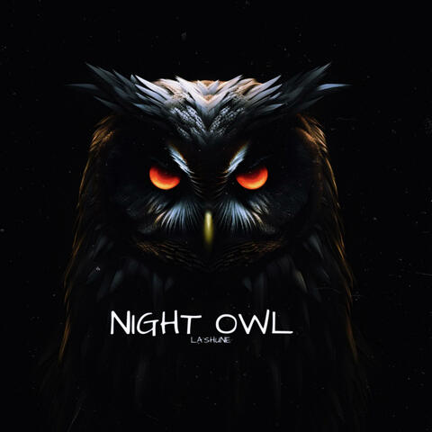 Night Owl