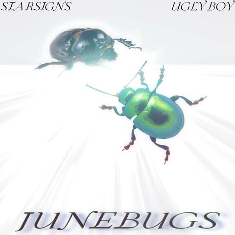June Bugs
