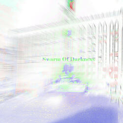 Swarm Of Darkness