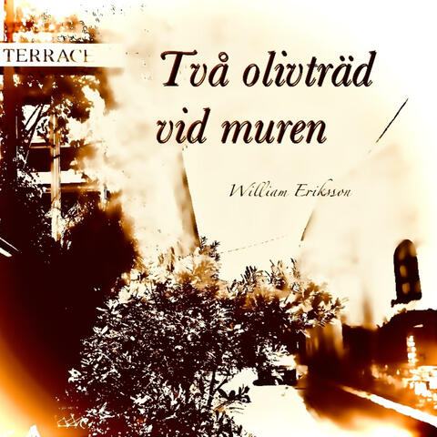 Två olivträd vid muren