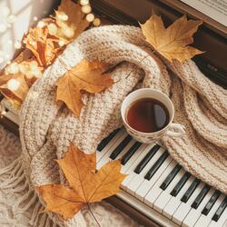 Gentle Autumn Notes
