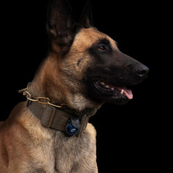 MWD love