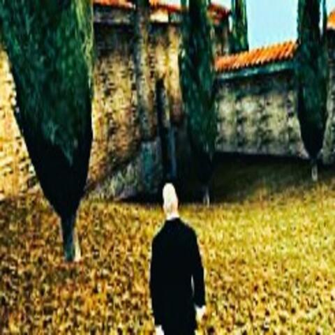 THE SILENT ASSASSIN