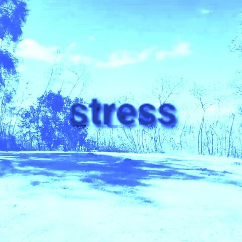 STRESS