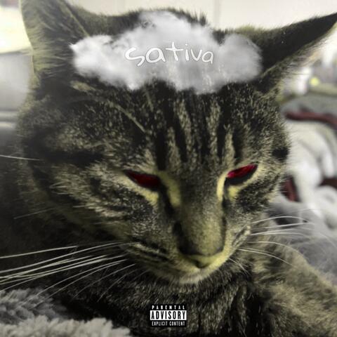 Sativa (Re-Recorded)