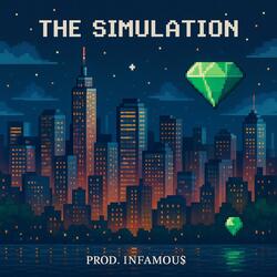 The Simulation